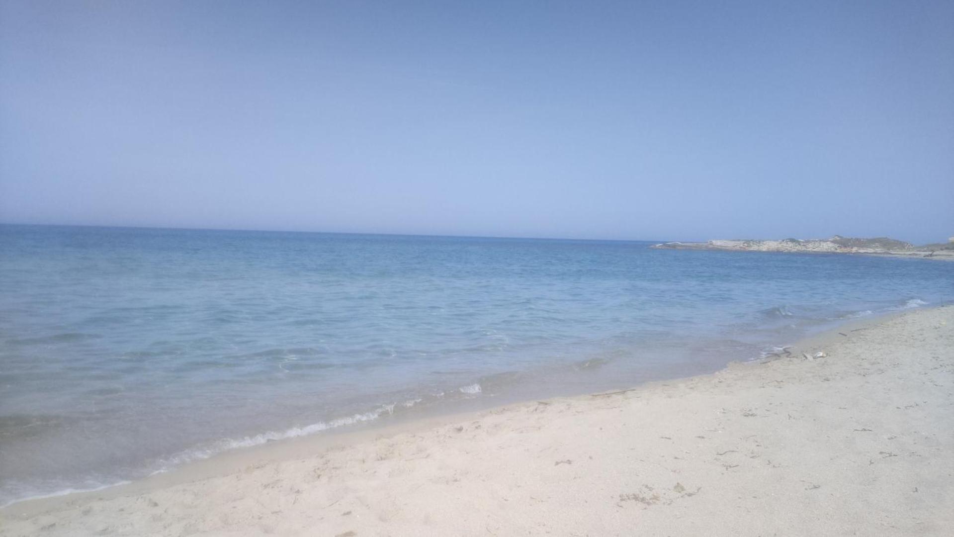 Casa Vacanza In Pieno Centro Storico Vicino Ostuni E La Riserva Di Torre Quaceto San Vito dei Normanni Kamer foto